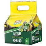 Terriccio Cactacee - Vigor Plant 5L