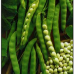 Fagiolo Coco  Blanc A' Rames - Pagano 250gr