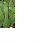 Pisello Mangiatutto Carouby o Taccola - Pagano 250gr