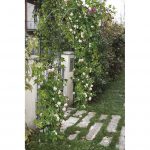 Arco in Acciaio Decorativo per Rampicanti - Verdemax
