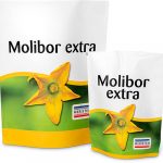 Molibor Extra 1 Kg - Meristem