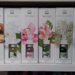 Profumatore Ambiente con Bastoncini di Cotone - Mercury 125 ml