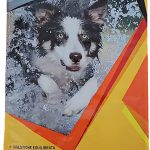 Wilky Dog Adult - 20Kg